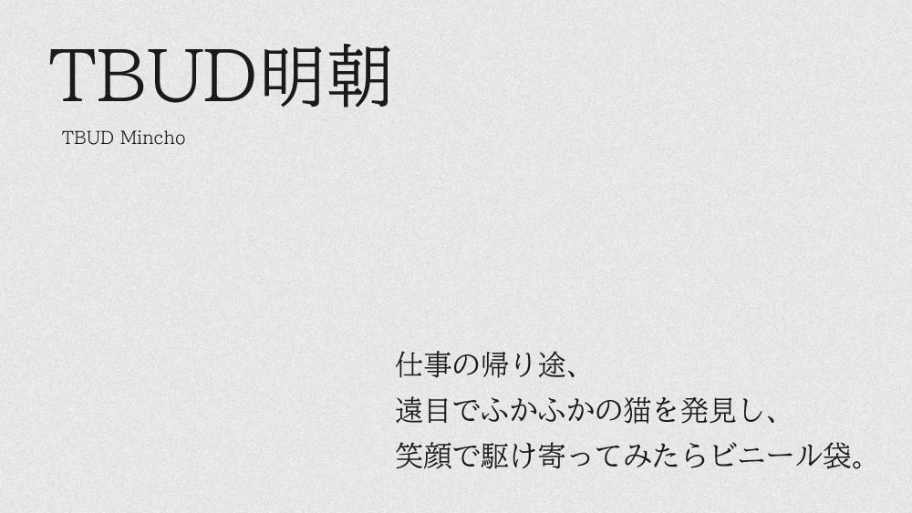 タイプバンクが開発したUD書体の明朝体、TBUD明朝