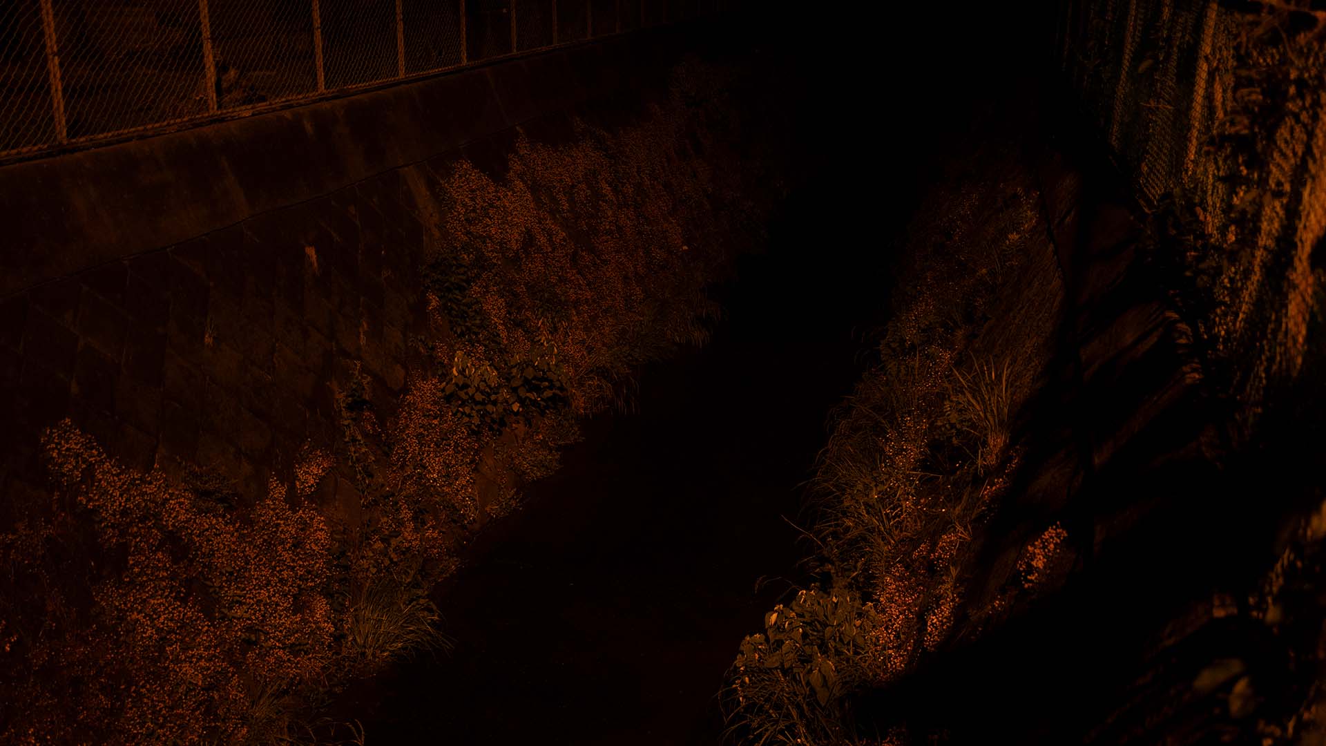 late-night-walk-yamato-edition_004