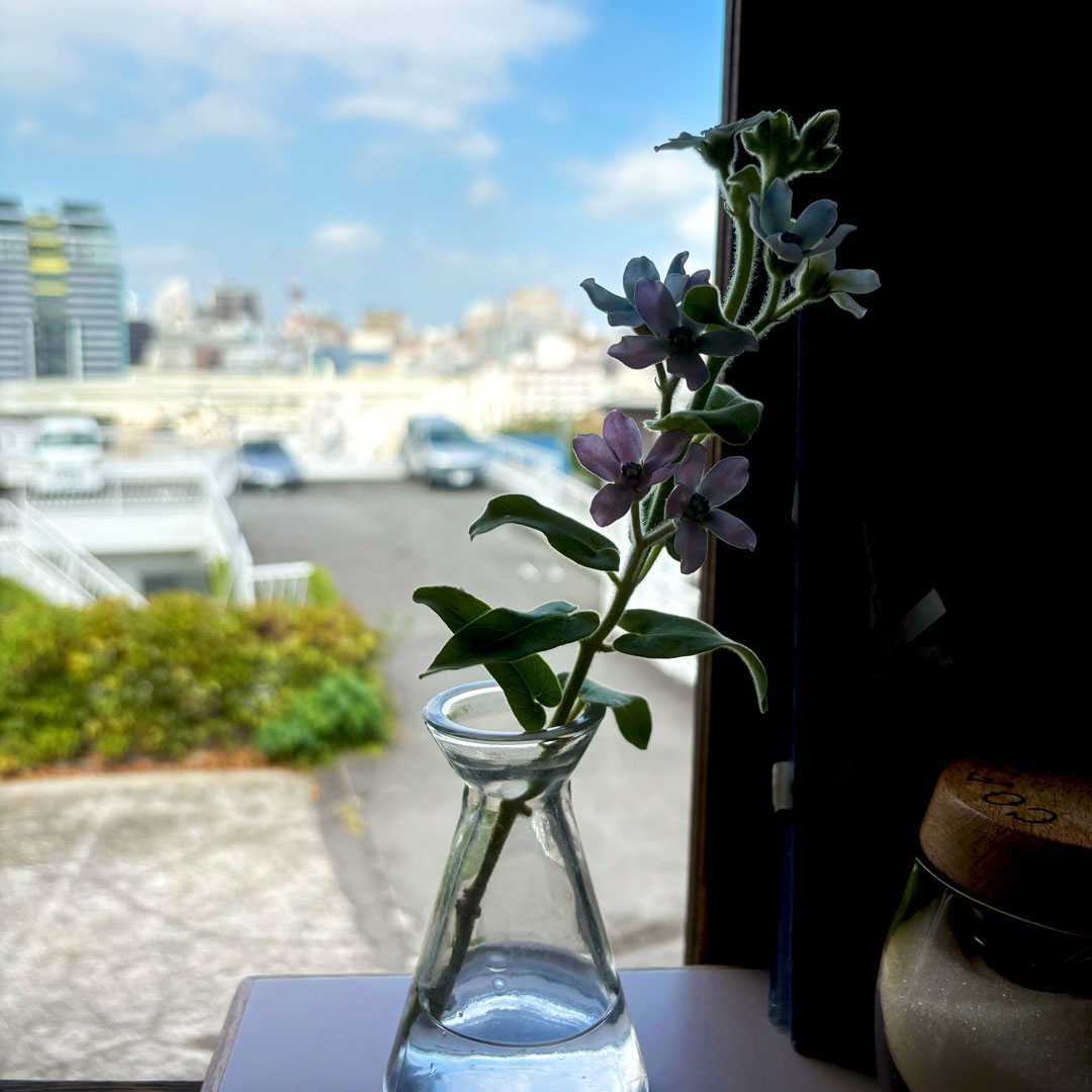 喫茶エレーナからみえる横浜の景色